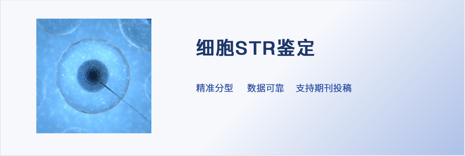 607b6c7a8c55742e37f5d7fc91cf57a2.png